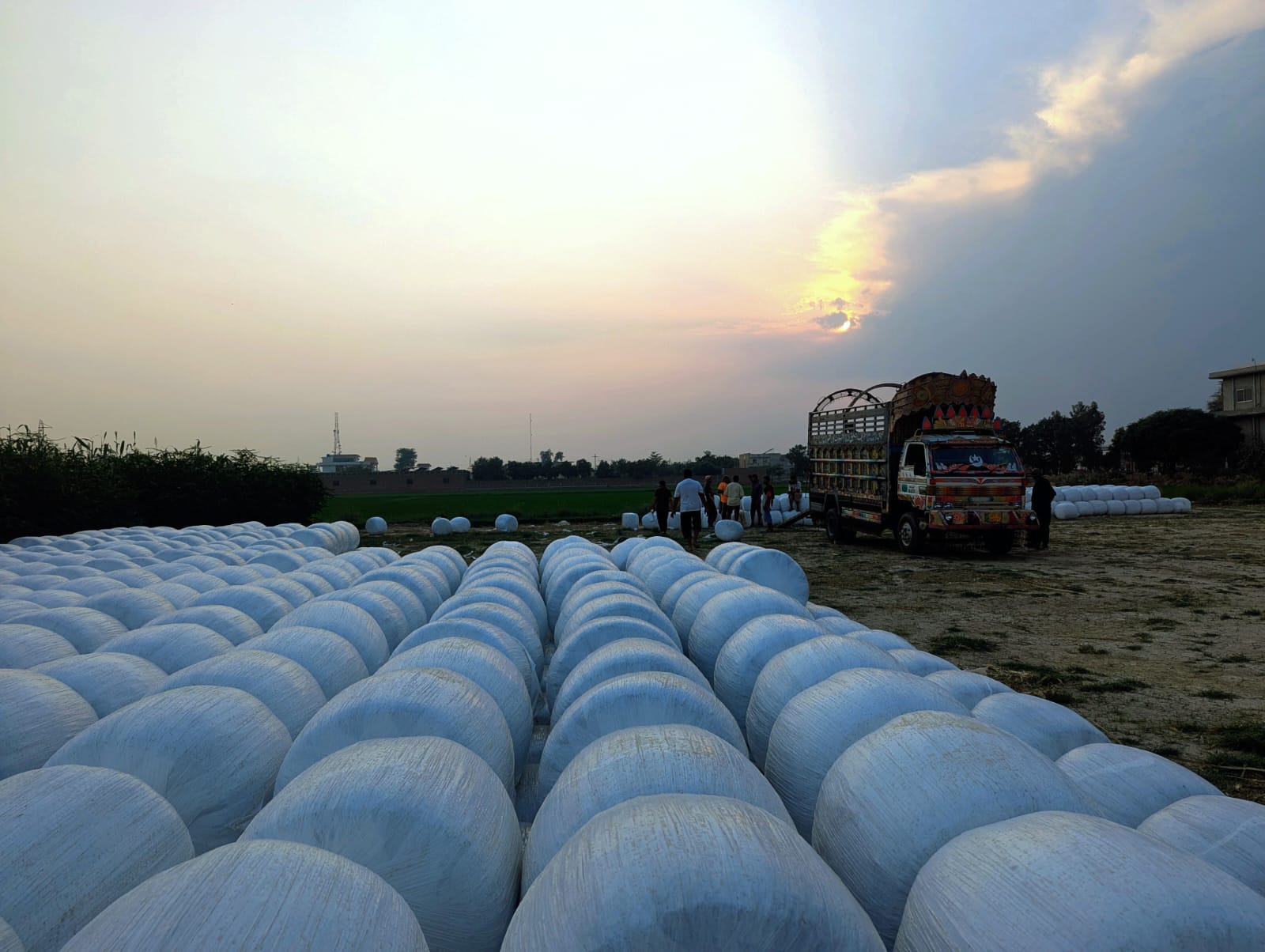Feed Dealers