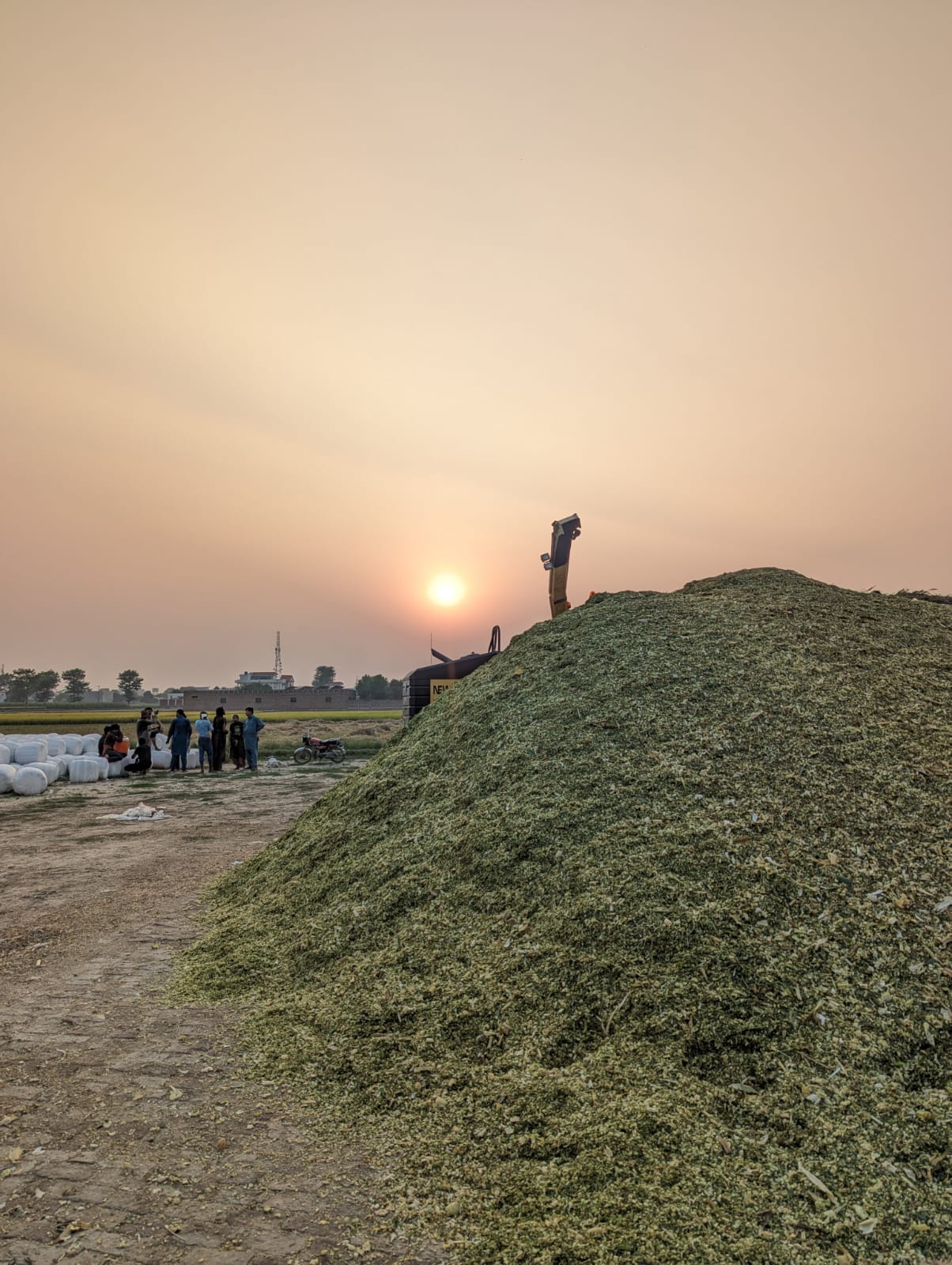 Silage Baling & Packing