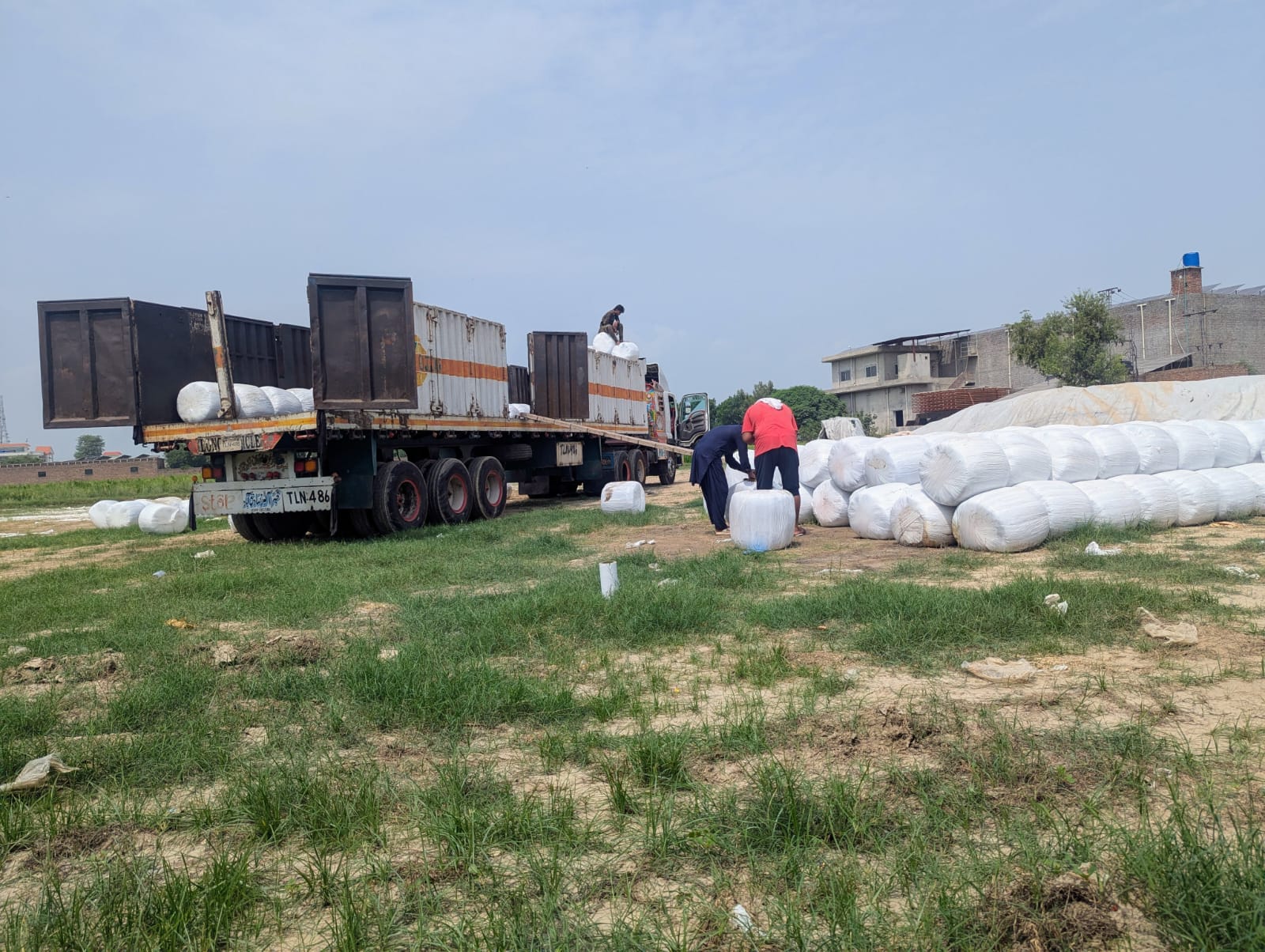 Bulk Silage Supply