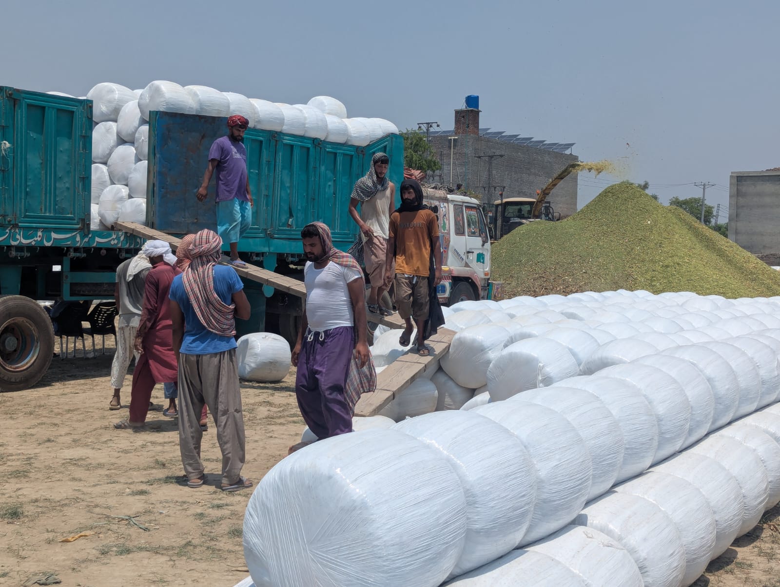 Silage Storage